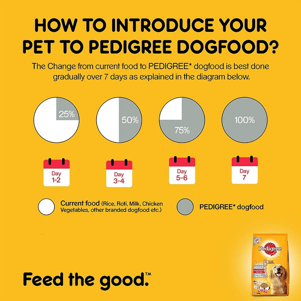 Pedigree Chicken, Egg and Rice Dry and Chicken and Liver Chunks in Gravy Wet Adult Dog Food Combo