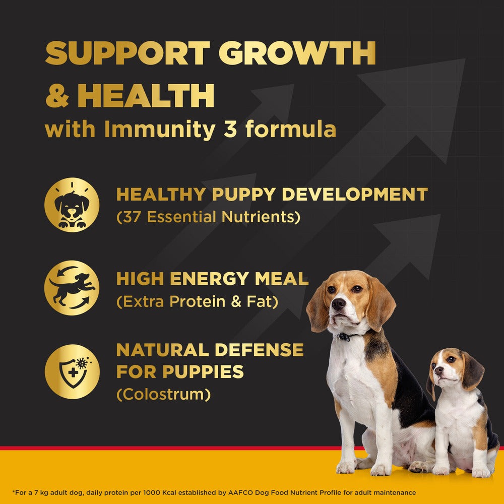 Pedigree PRO Expert Nutrition Lactating/Pregnant Mother & Puppy Starter (3 to 12 Weeks) Small Breed Dog Dry Food