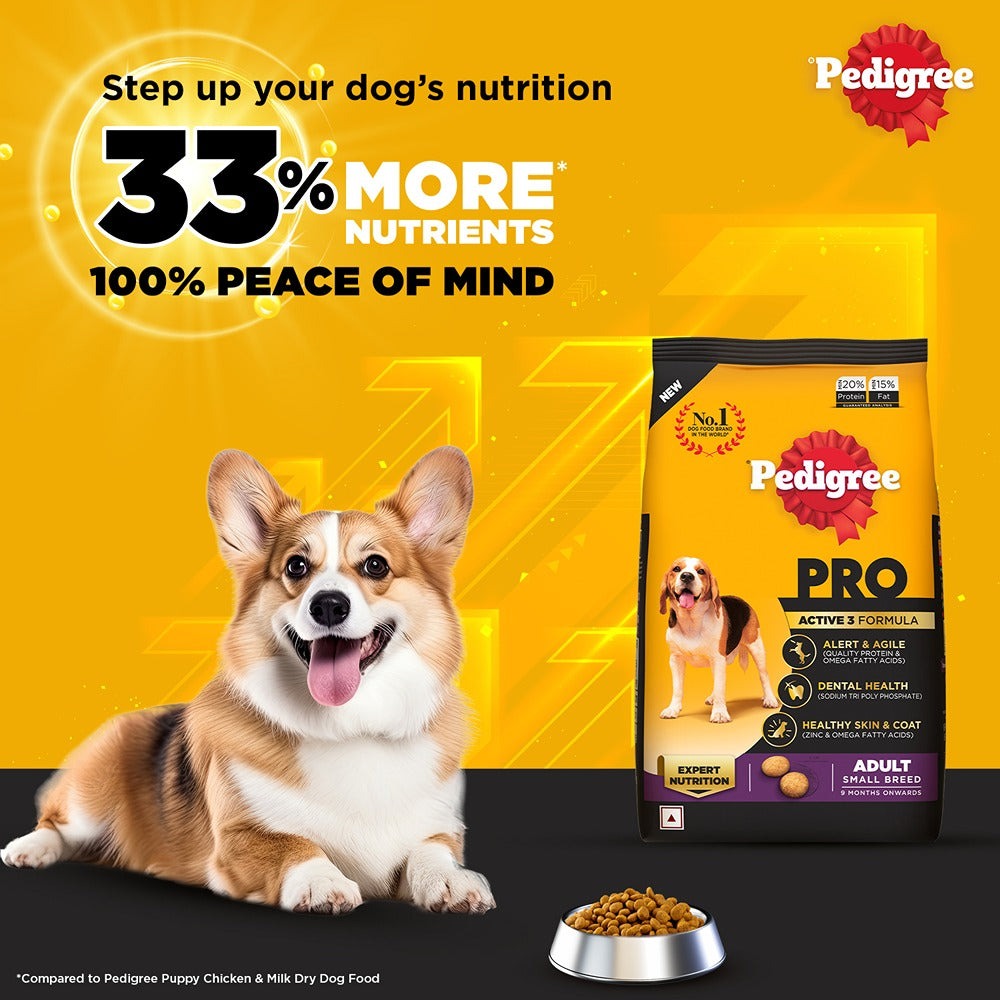 Pedigree PRO Expert Nutrition Adult Dry Food for Small Breed and Pedigree Dentastix Oral Care for Adult (Small Breed of 5 to 10 kg) Treats Combo for Dogs