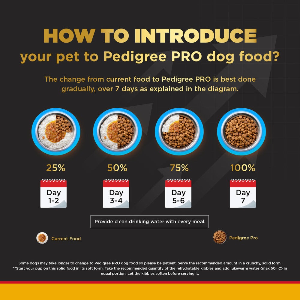 Pedigree PRO Expert Nutrition Adult Dry Food for Small Breed and Pedigree Chicken Flavour Biscrok Biscuits Treats Combo for Dogs