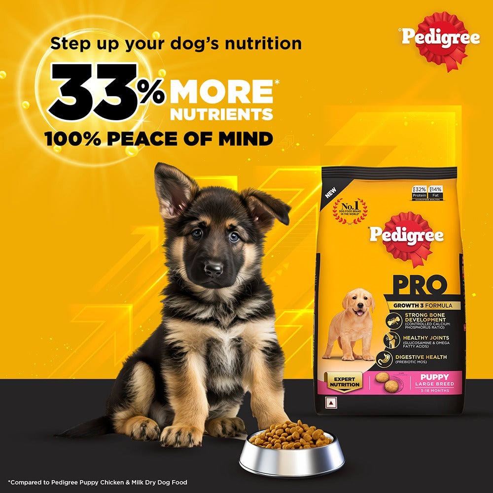 Pedigree PRO Expert Nutrition for Large Breed Puppy (3 to 18 Months) Dry Food and Pedigree Chicken & Liver Chunks in Gravy Puppy Wet Food Combo for Dogs