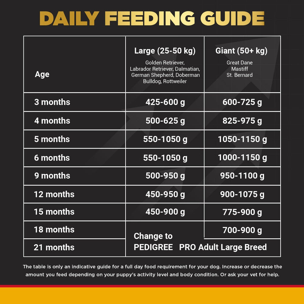 Pedigree PRO Expert Nutrition for Large Breed Puppy (3 to 18 Months) Dry Food and Pedigree Chicken & Liver Chunks in Gravy Puppy Wet Food Combo for Dogs