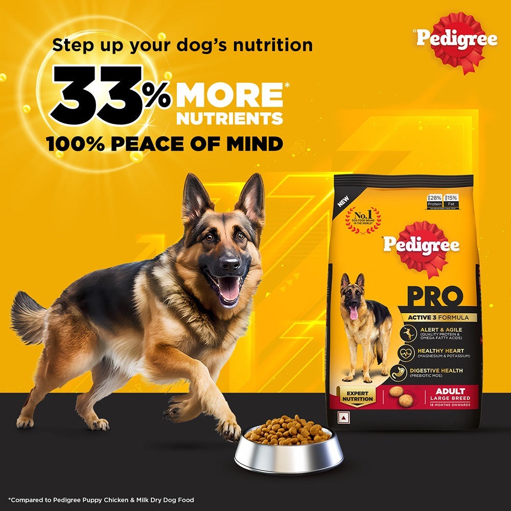 Pedigree PRO Expert Nutrition Active Adult (18 Months Onwards) Large Breed Dry Food and Chicken Flavor Biscrok Biscuits Treats Combo for Dogs