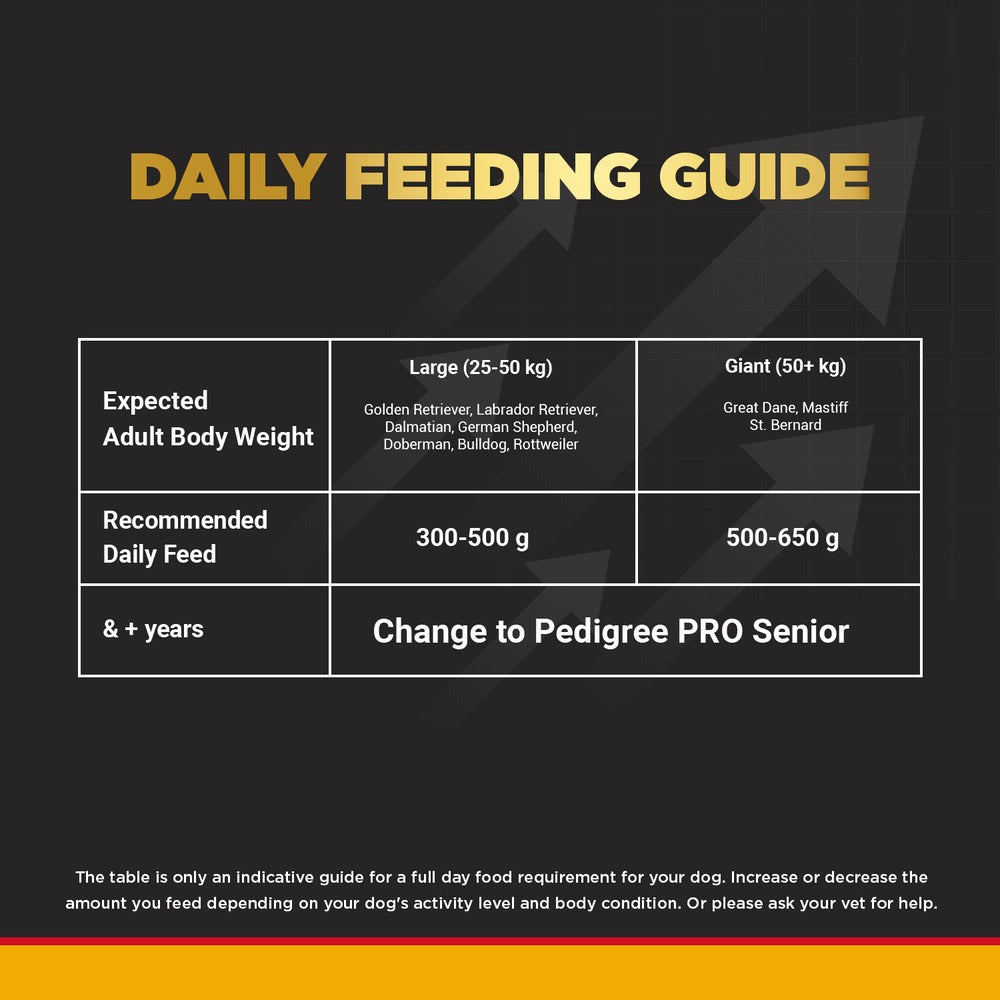 Pedigree PRO Expert Nutrition Active Adult (18 Months Onwards) Large Breed Dry Food and Chicken Flavor Biscrok Biscuits Treats Combo for Dogs