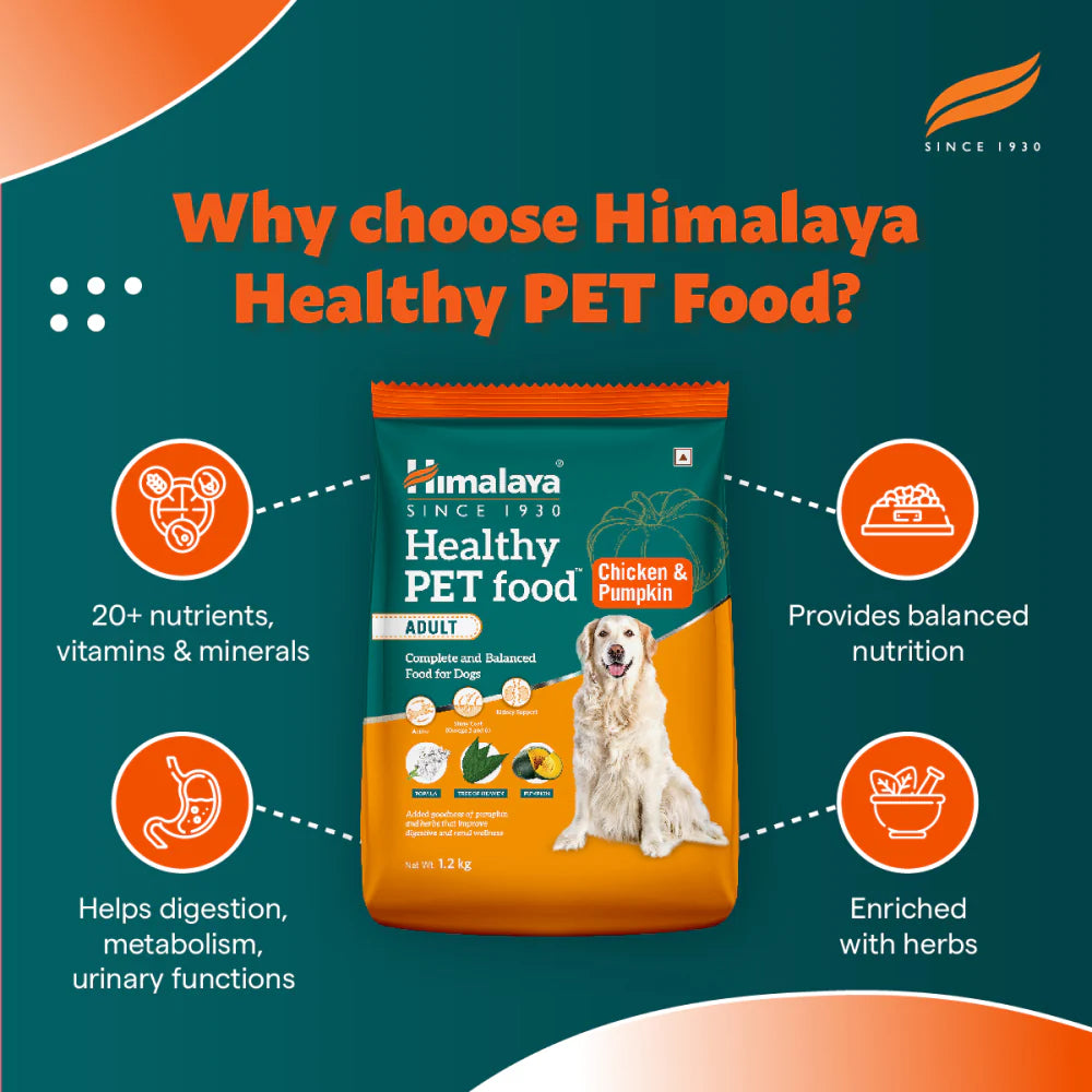 Himalaya Chicken & Pumpkin Adult Dog Dry Food