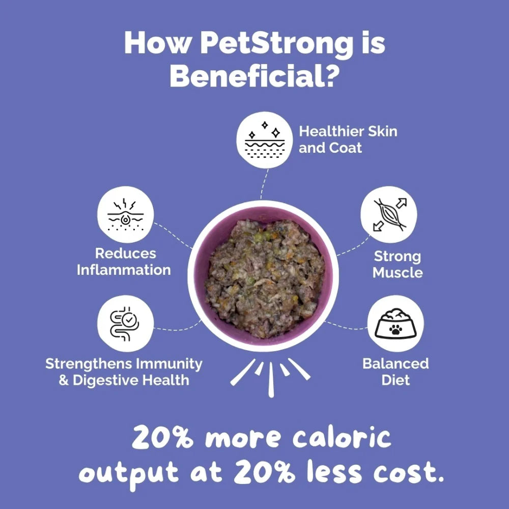 PetStrong Lamb and Rice Fresh Food for Dogs