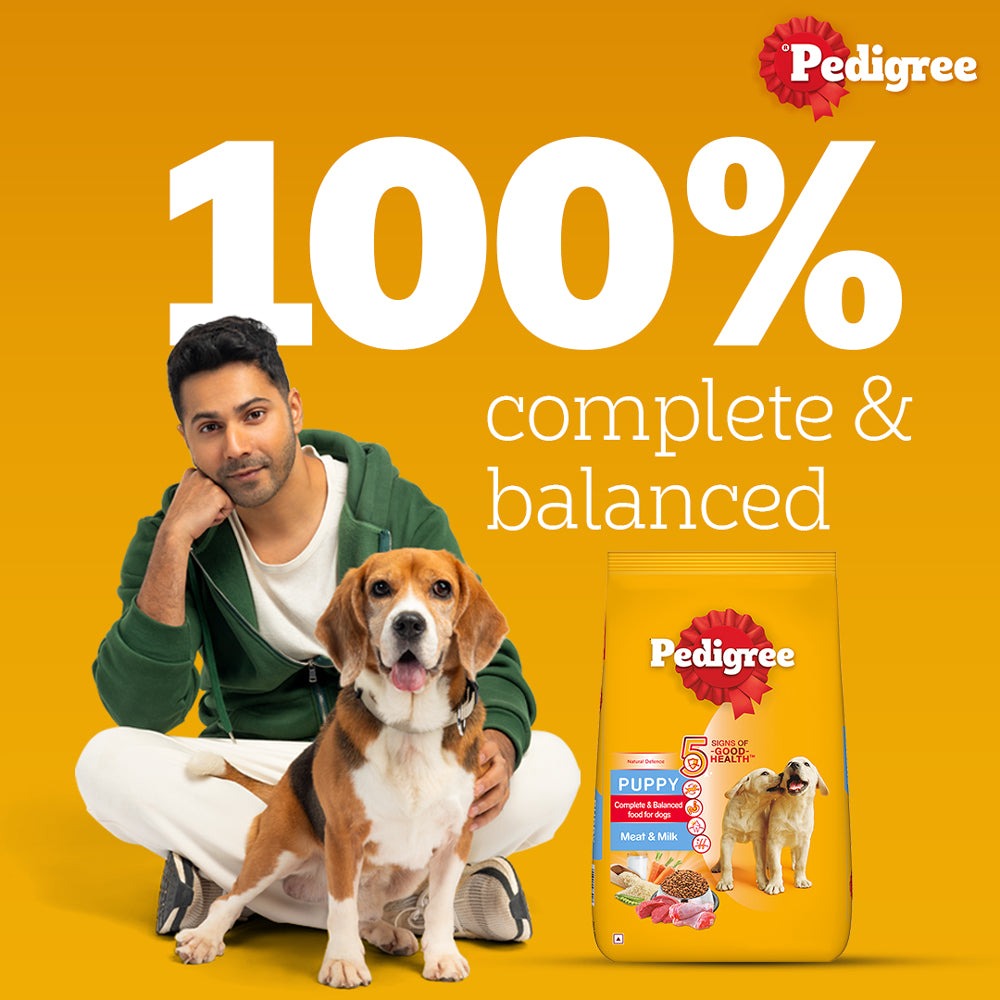 Pedigree Meat & Milk Puppy Dog Dry Food