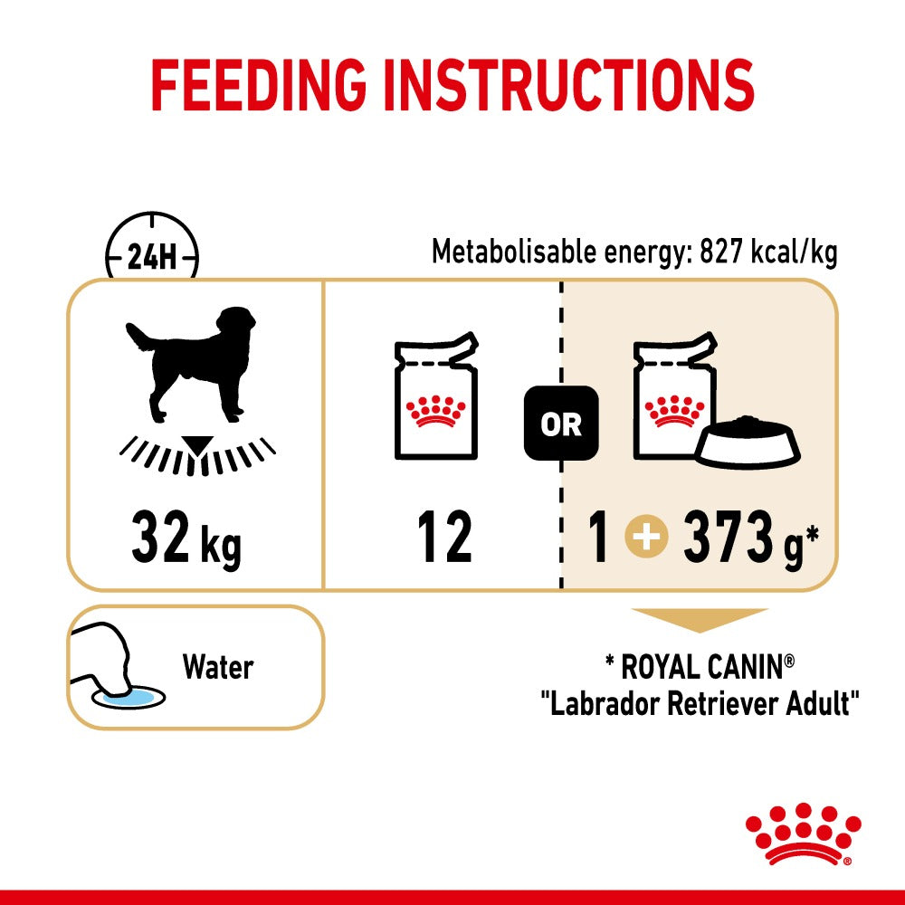 Royal Canin Chunks In Gravy Labrador Retriever Adult Dog Wet Food