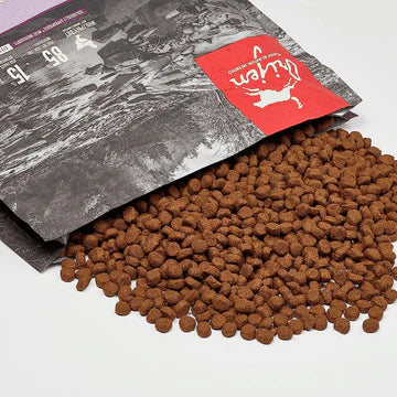 Orijen Large Puppy Dry Food