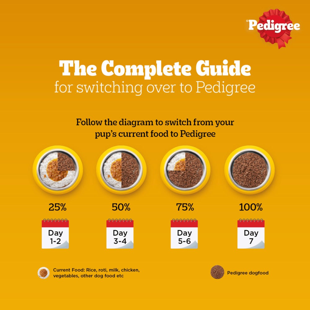 Pedigree Roasted Lamb Flavour Chunks in Gravy Adult Dog Wet Food