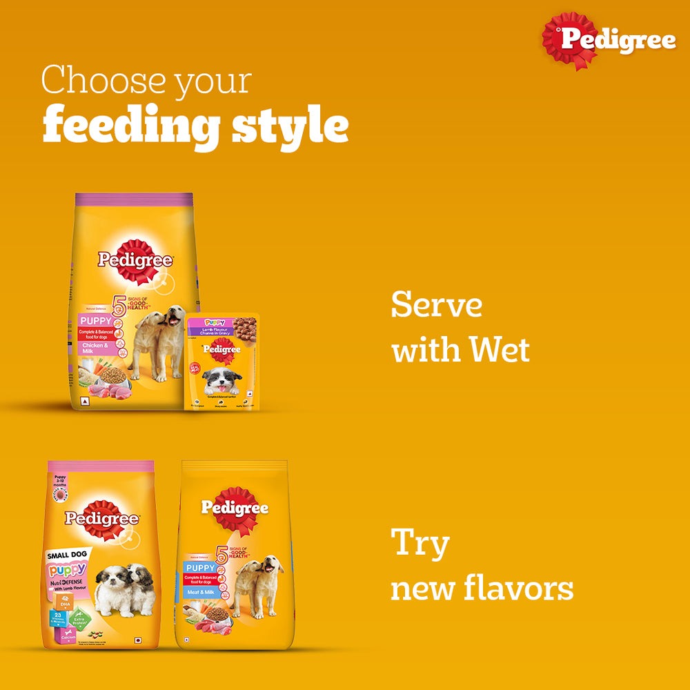 Pedigree Chicken and Milk Puppy Dog Dry Food