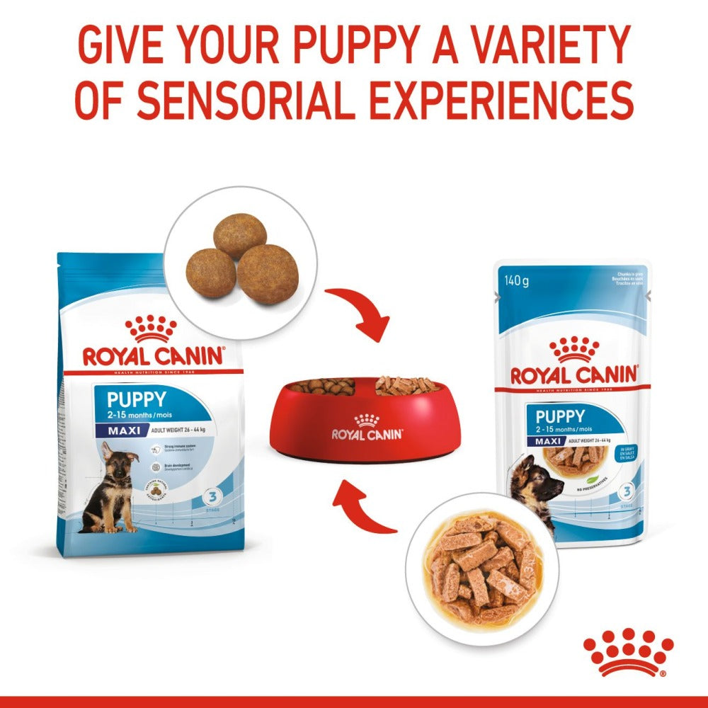 Royal Canin Maxi Starter Dry Food and Maxi Puppy Dog Wet Food Combo