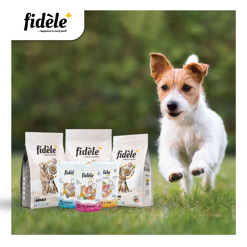 Fidele Plus Fresh Chicken & Egg with Vegetables Dog Wet Food