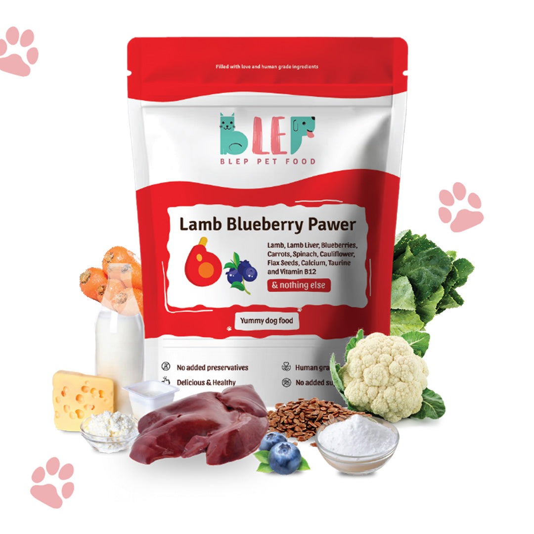 BLEP Lamb Blueberry Pawer Dog Wet Food (300g)