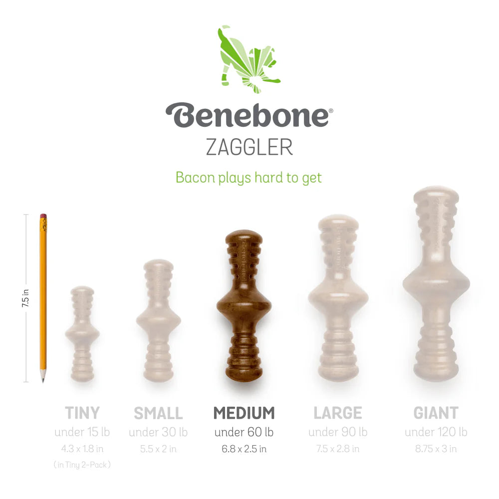 Benebone Bacon Butter Flavored Zaggler Rolling Chew Toy for Dogs