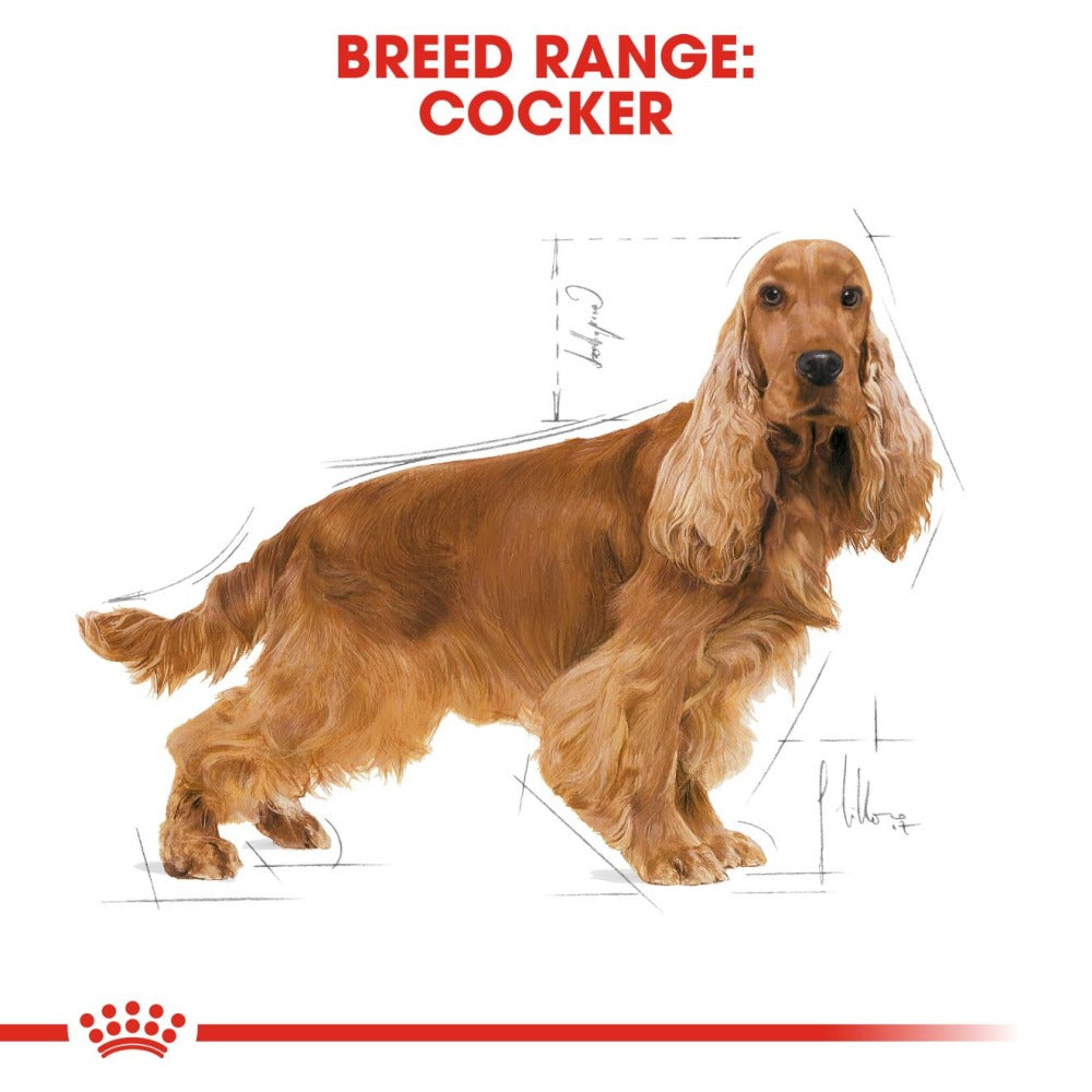 Royal Canin Cocker Spaniel Adult Dog Dry Food