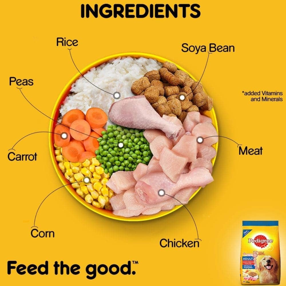 Pedigree Chicken and Vegetables Dry and Chicken and Liver Chunks in Gravy Wet Adult Dog Food Combo