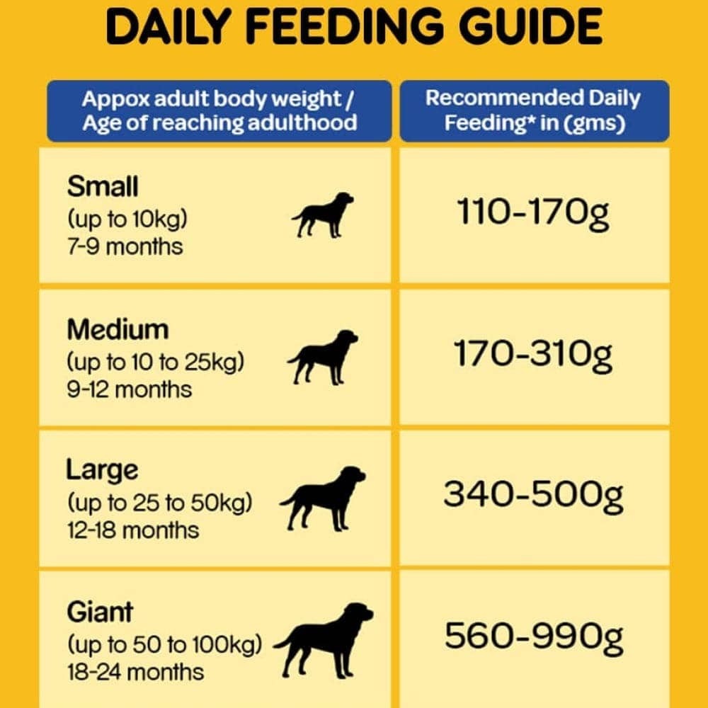 Pedigree Chicken and Vegetables Dry and Chicken and Liver Chunks in Gravy Wet Adult Dog Food Combo