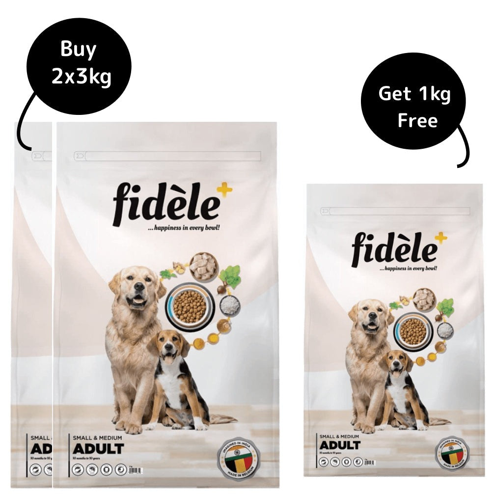 Fidele Plus Adult Small & Medium Dog Dry Food