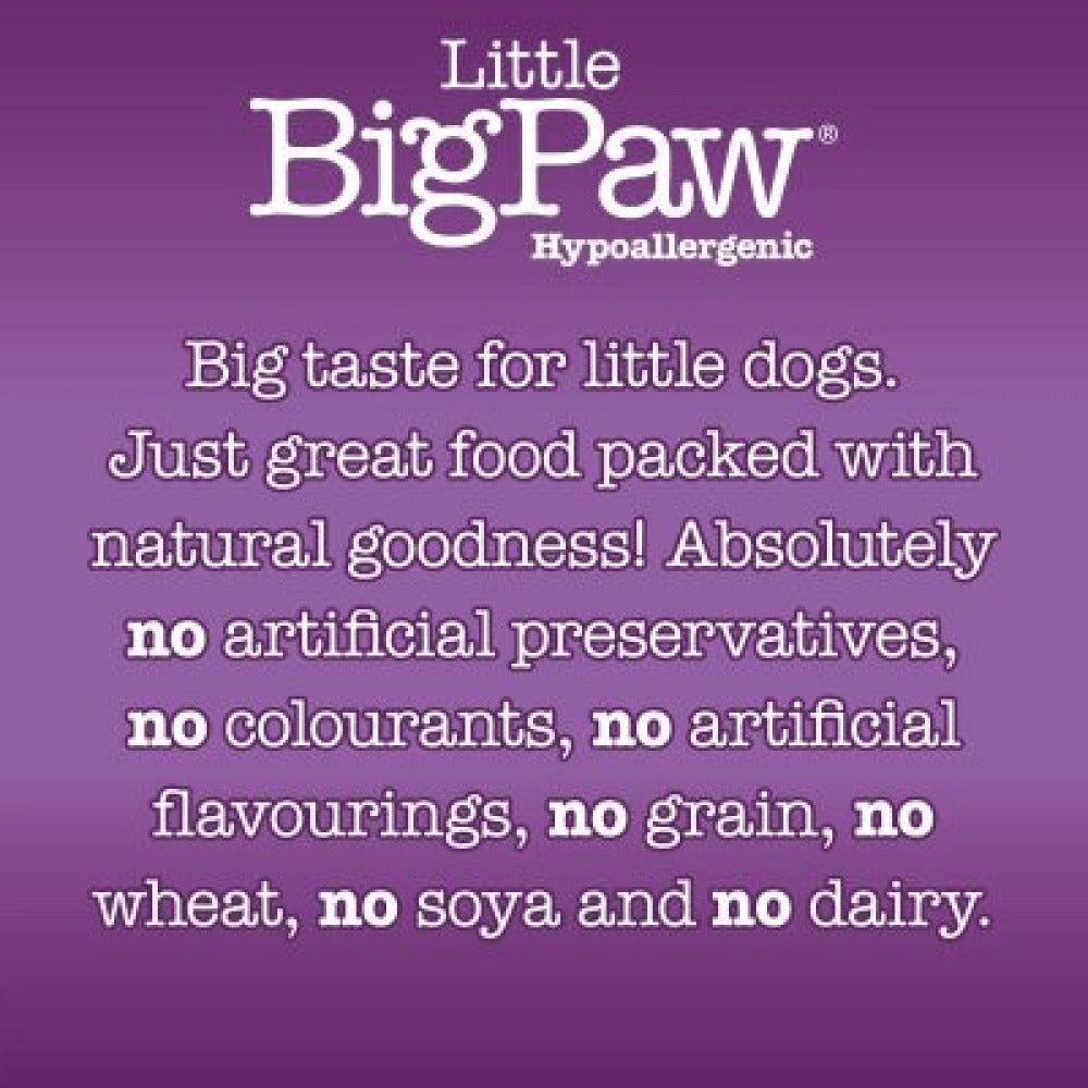 Little Big Paw Atlantic Salmon & Vegetables Terrine Dog Wet Food