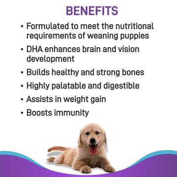 Canine Creek Pup Booster Puppy Weaning Diet for All Breeds