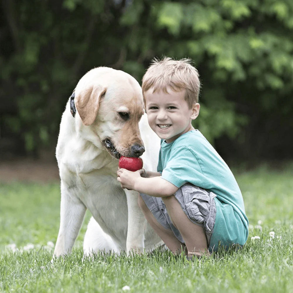 Bark Out Loud Immunity Multi Vitamin Chew Stix and Kong Classic Toy for Dogs and Cats Combo