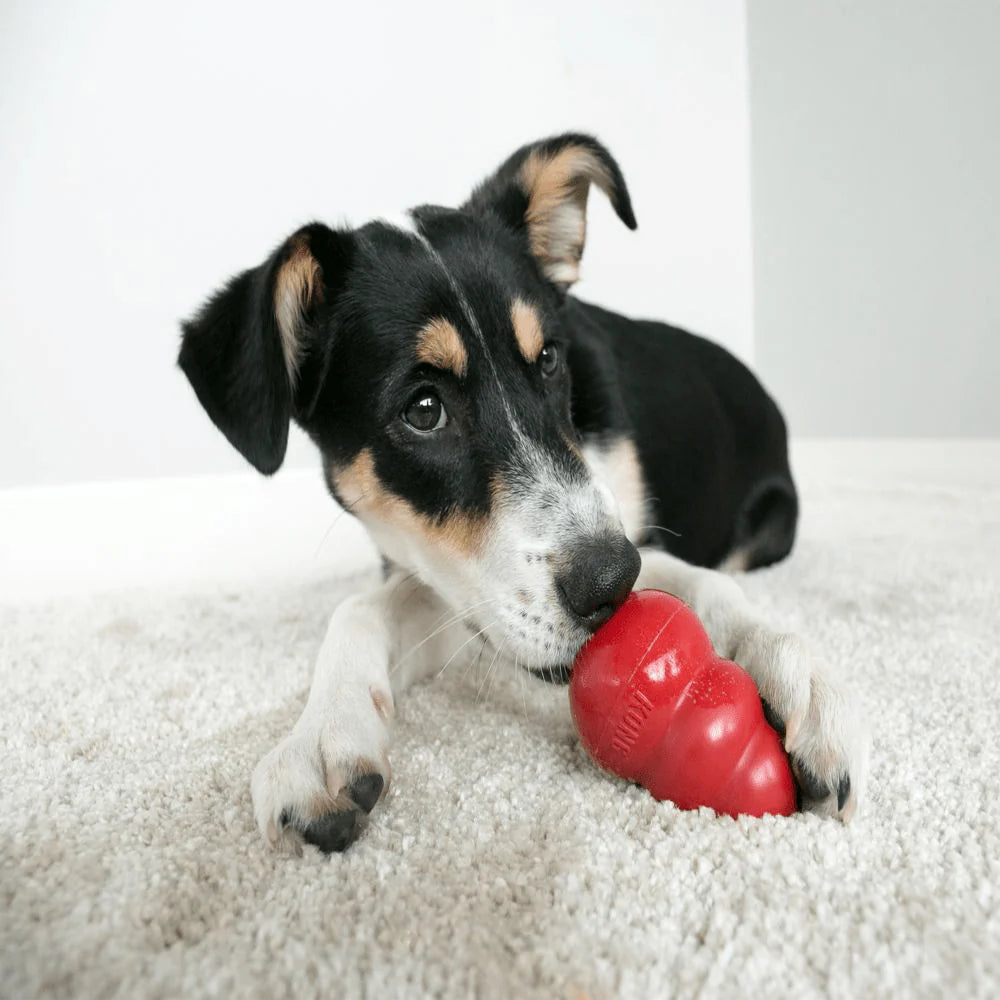 Bark Out Loud Immunity Multi Vitamin Chew Stix and Kong Classic Toy for Dogs and Cats Combo