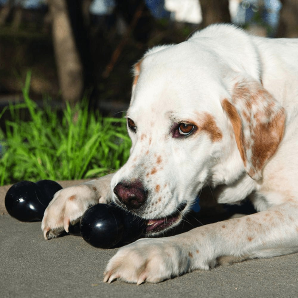 Gnawlers Calcium Milk Bone Treats & Kong Extreme Goodie Bone Toy Combo for Dogs