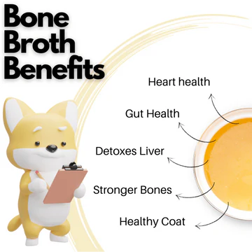 Doggos The Super Monster Club Fresh Food and Bone Broth for Dogs