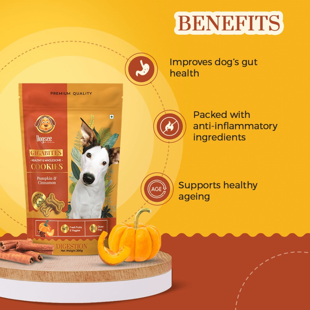 Dogsee Chew Gigabites Pumpkin and Cinnamon Dog Cookie Treats