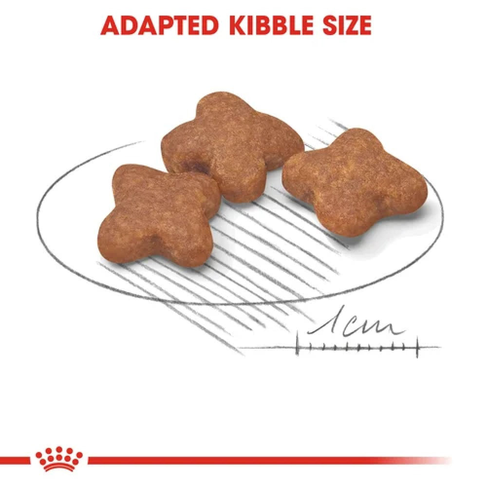 Royal Canin Mini 8+ Adult Dog Dry Food