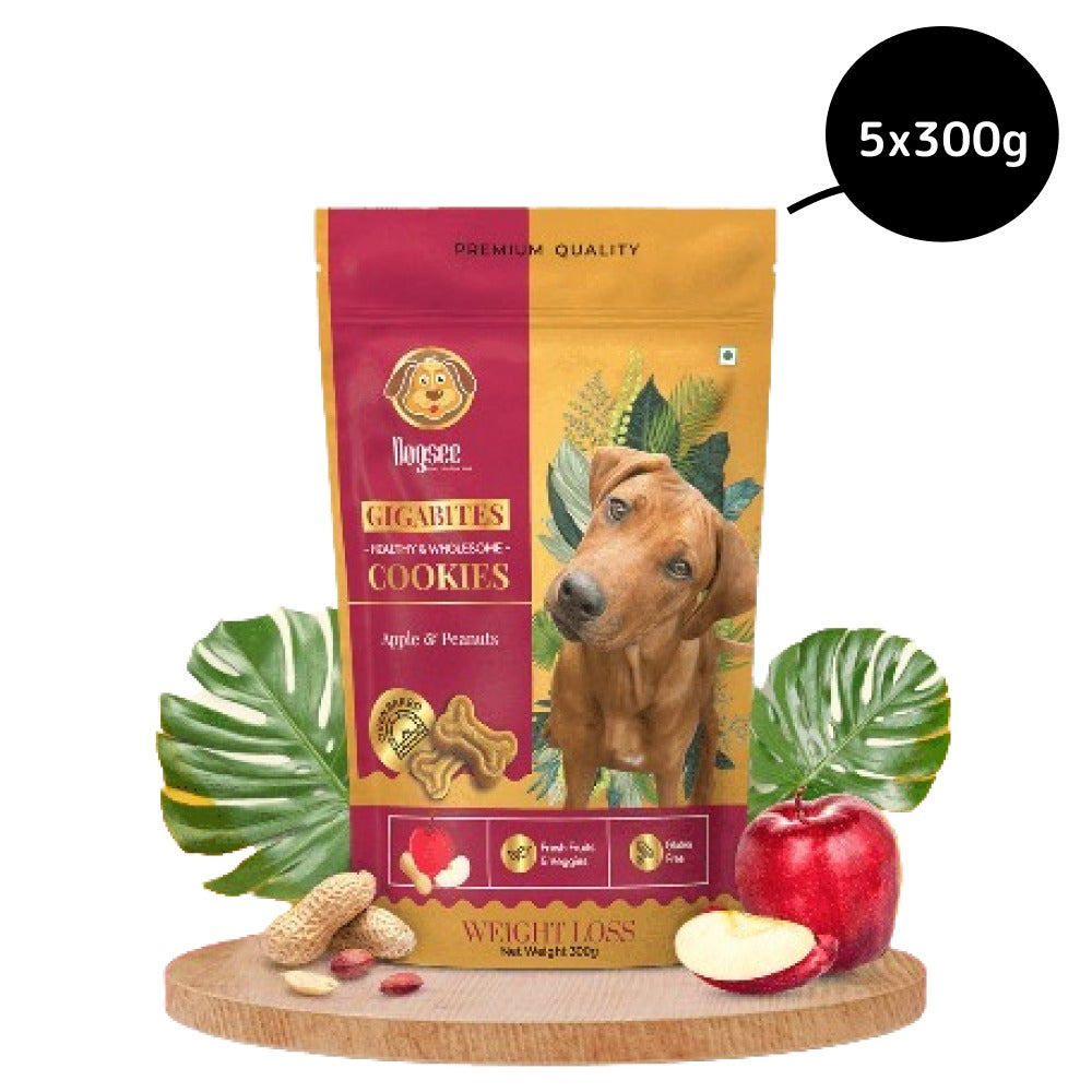 Dogsee Chew Gigabites Apple and Peanut Dog Cookie Treats