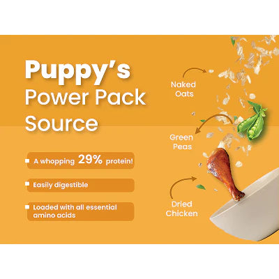 Bark Out Loud Chicken & Ancient Grains Puppy Dry Food