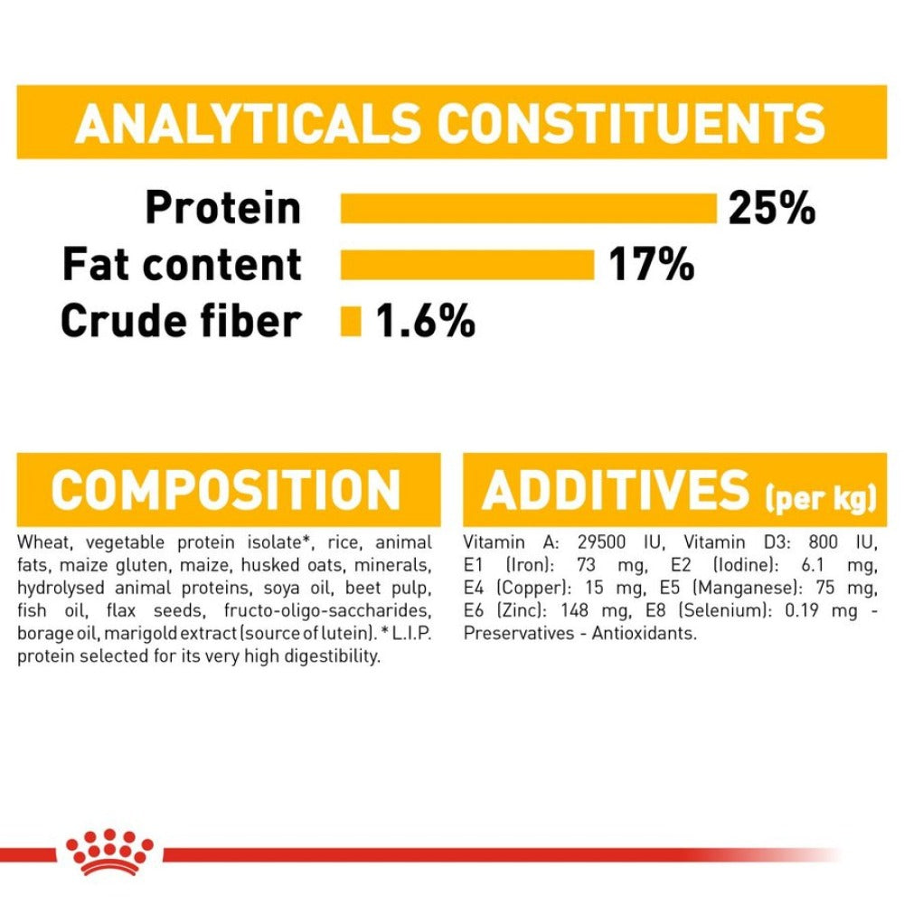 Royal Canin Maxi Dermacomfort Dog Dry Food