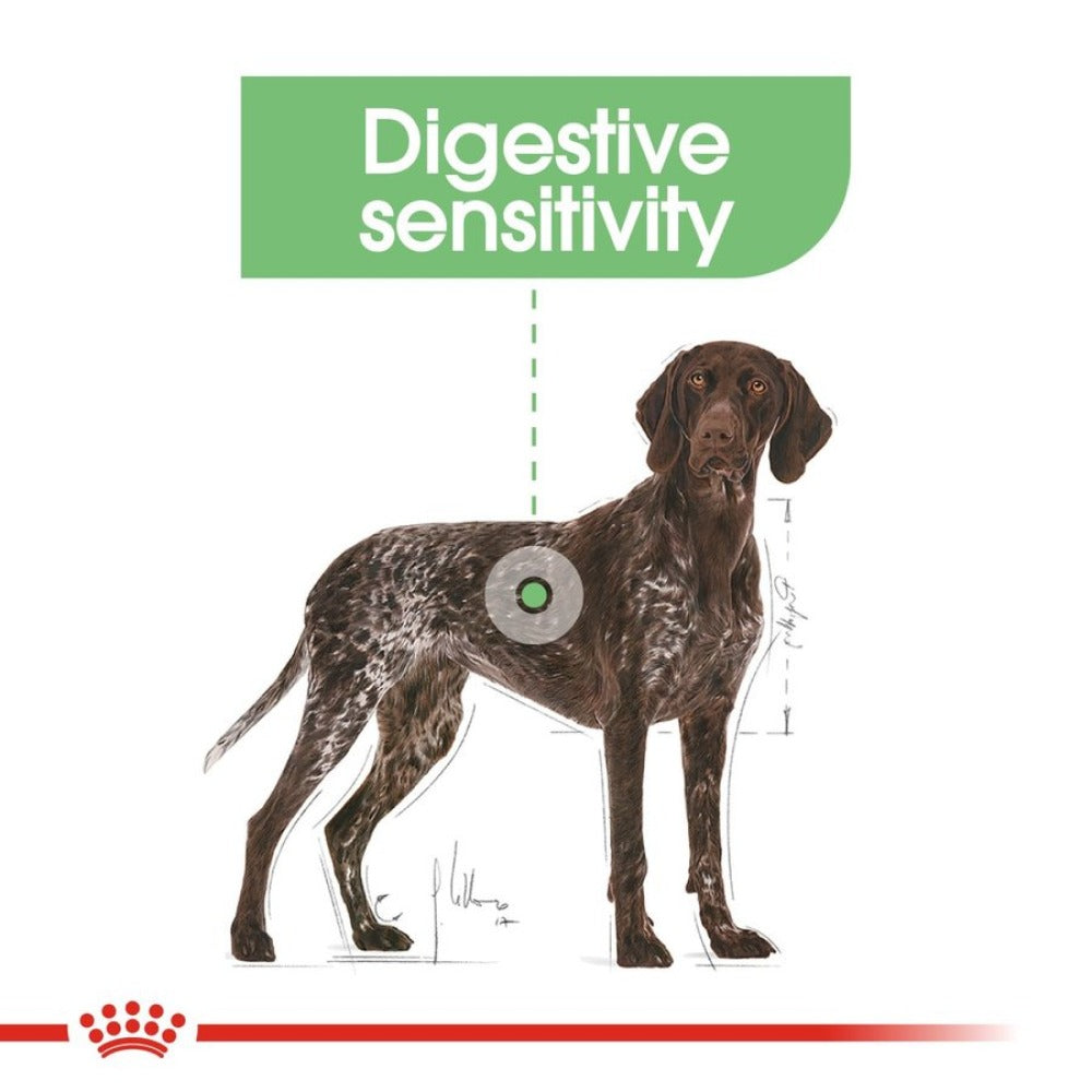 Royal Canin Maxi Digestive Care Dog Dry Food