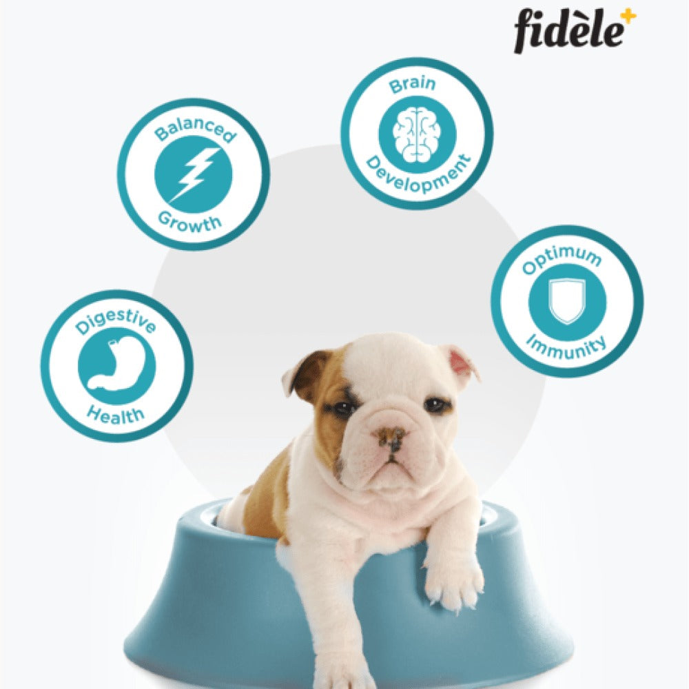 Fidele Plus Starter Puppy Dry Food