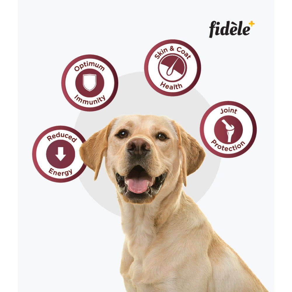 Fidele Plus Adult Light & Senior Dog Dry Food