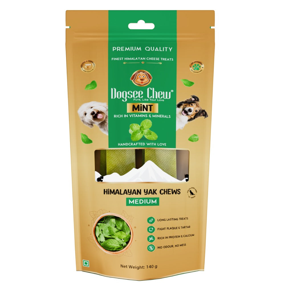 Dogsee Chew Mint Flavour Medium Bars Dog Treats