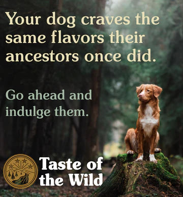 Taste of the Wild Pacific Stream Smoked Salmon Adult Dog Dry Food | Grain Free Formula