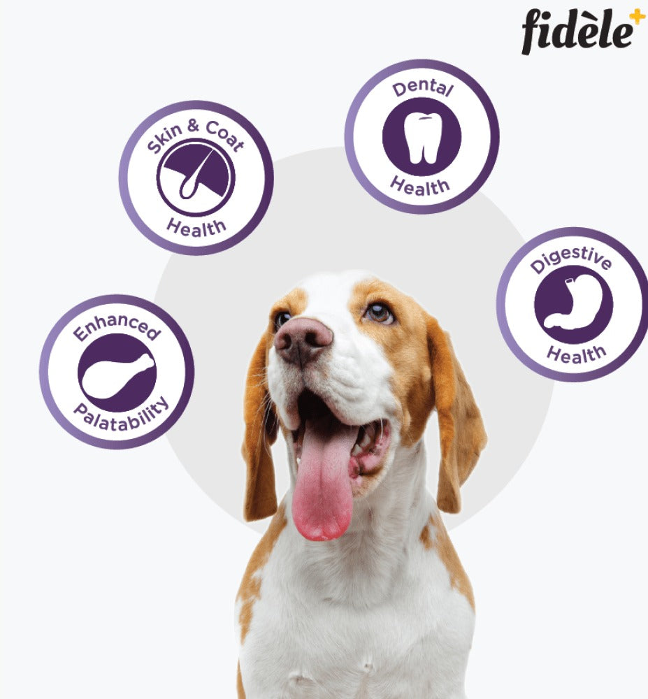 Fidele Plus Adult Small & Medium Dog Dry Food