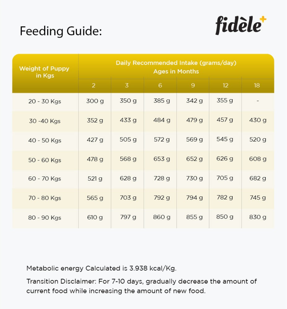 Fidele Plus Large Puppy Dry Food