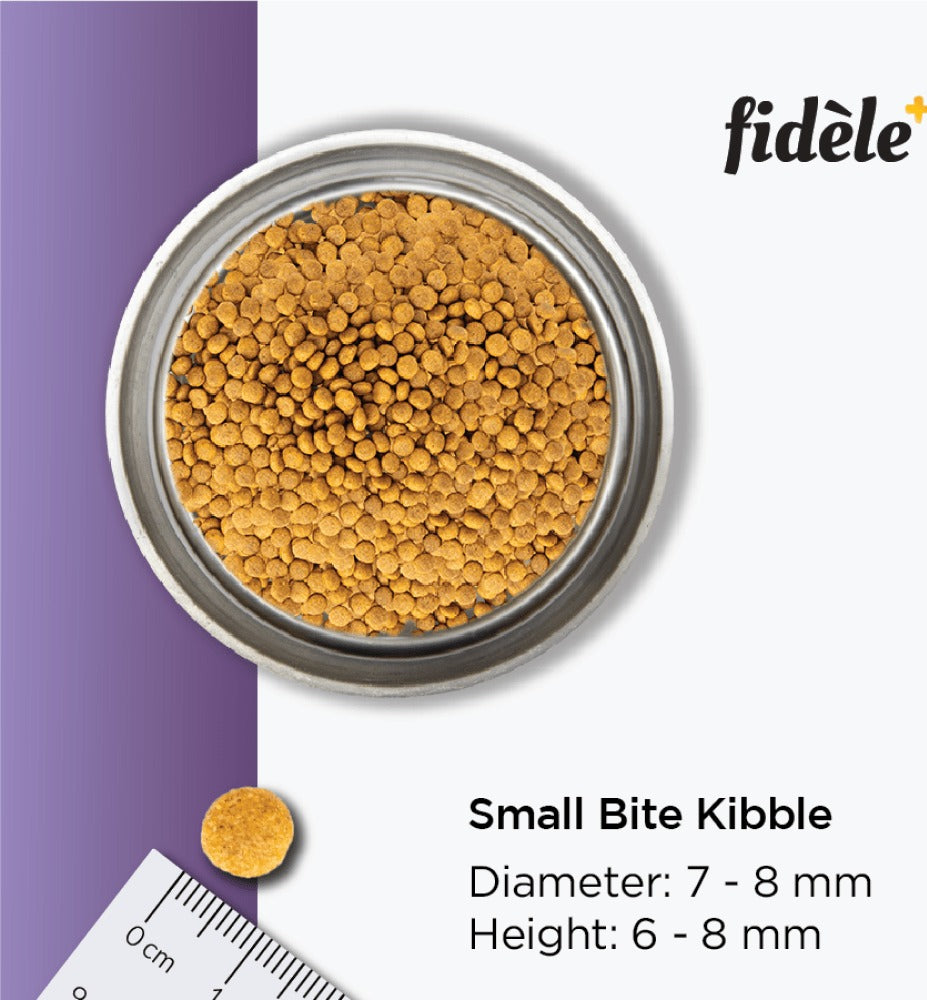 Fidele Plus Adult Small & Medium Dog Dry Food