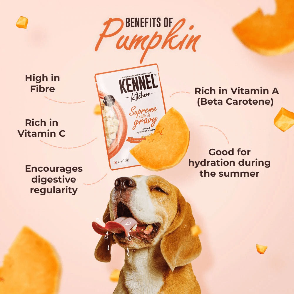 Carniwel Fresh Chicken Kibble Small Breed Dry Food and Kennel Kitchen Supreme Cuts in Gravy Chicken Liver Recipe with Pumpkin Dog Wet Food Combo