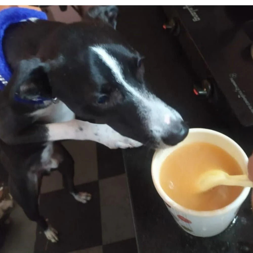 Doggos Instant Chicken Bone Broth with Carrot for Dogs and Cats