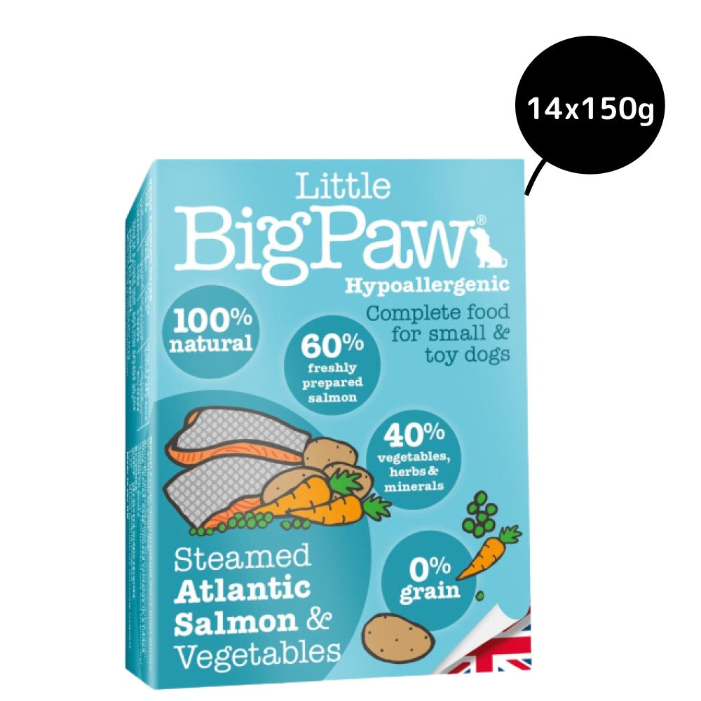 Little Big Paw Atlantic Salmon & Vegetables Terrine Dog Wet Food