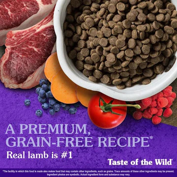 Taste of the Wild Sierra Mountain Canine Recipe with Roasted Lamb Dog Dry Food | Grain Free Formula