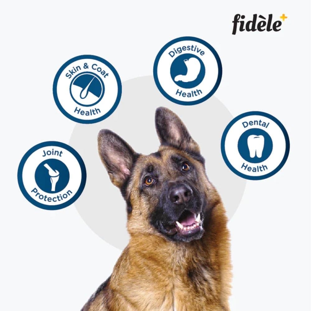 Fidele Plus Adult Large Dog Dry Food