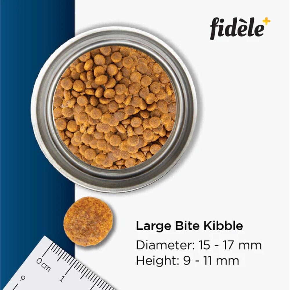 Fidele Plus Adult Large Dog Dry Food