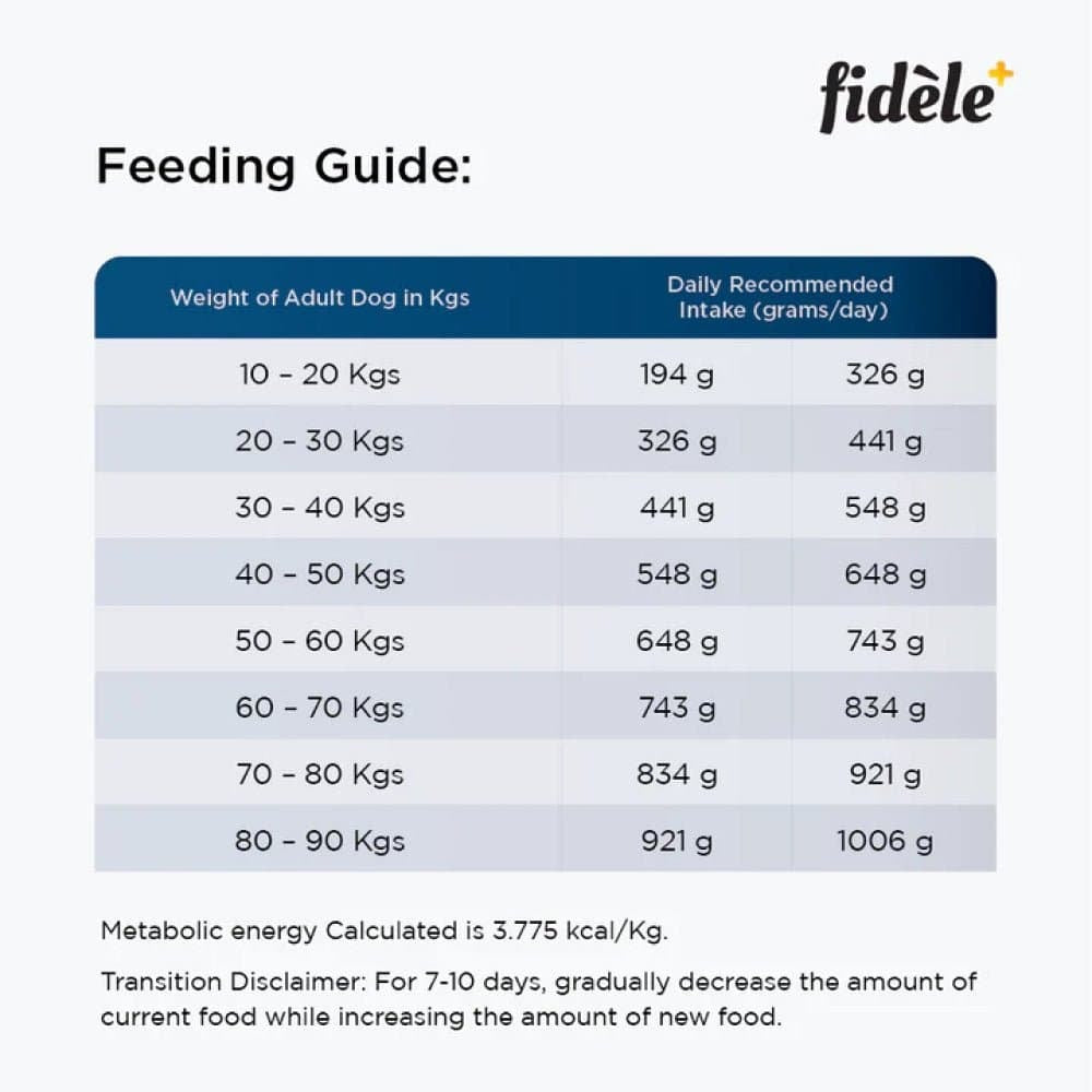 Fidele Plus Adult Large Dog Dry Food