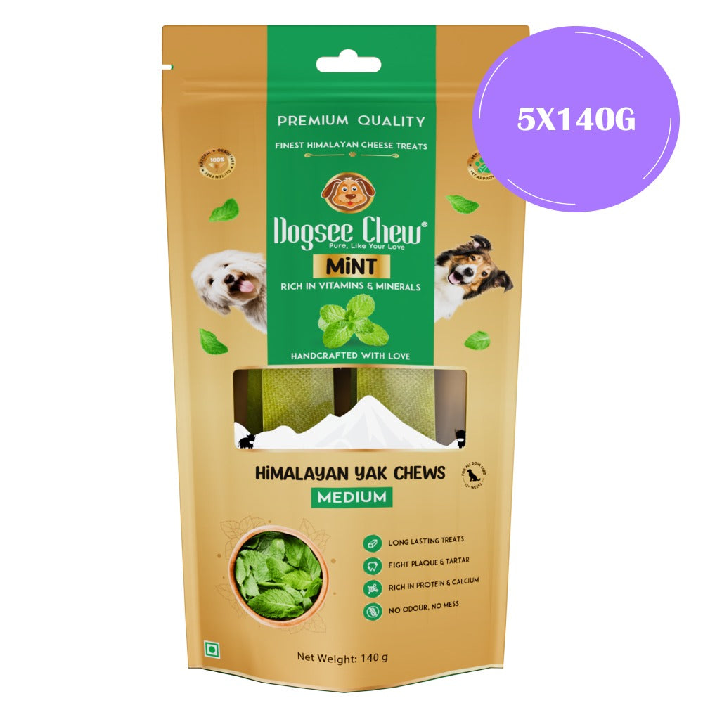 Dogsee Chew Mint Flavour Medium Bars Dog Treats